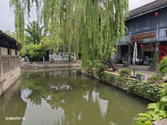 -鲁镇