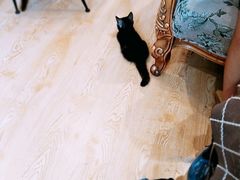-万小咖.猫咖(中山路天虹店)