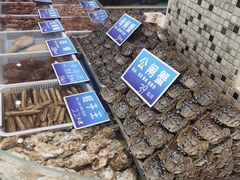 水产区-双井轩(双井店)