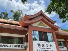 -西双版纳原始森林公园