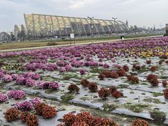 -中国天府农业博览园