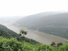 -铁山坪森林公园