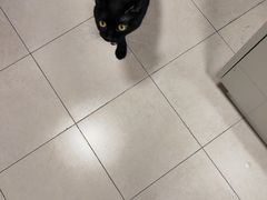 -赵记粽子(司前街店)