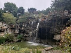 -燕郊植物园
