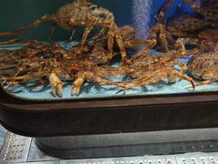 -阿伟海鲜楼·福建菜(延寿店)