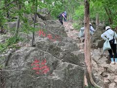 -紫金山山顶公园