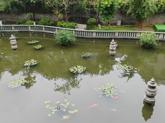 -碧江金楼