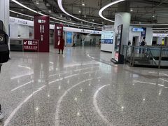 -东方体育中心(地铁站)