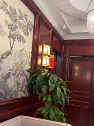 -南京医科大学友谊整形外科医院