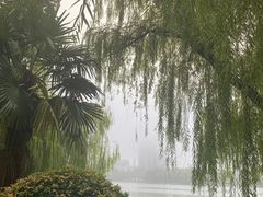 -沙市市中山公园