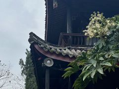 -峨眉山报国寺