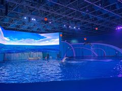 -海合安青岛极地海洋公园