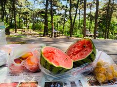 -北京西山国家森林公园