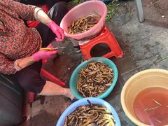 -三百碗宝应长鱼面(板仓街店)