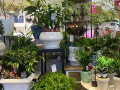-豆豆花艺(新光天地店)