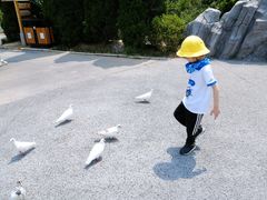 -青岛森林野生动物世界