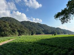 -广州市石门国家森林公园