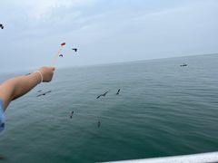 -海驴岛(荣成市)