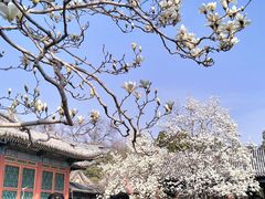 -颐和园