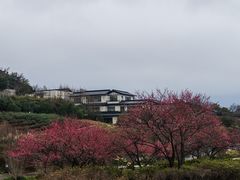 -雅达·阳羡溪山小镇中心
