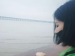 -宝安西湾红树林湿地公园