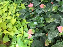 -沙河粉村·国家非遗传承(云台店)