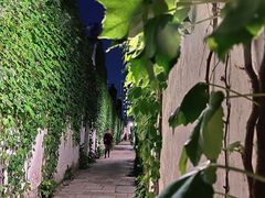 -青果巷历史文化街区