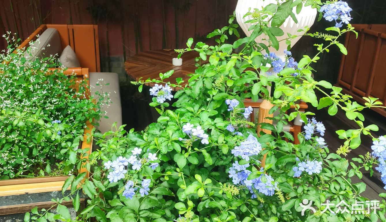 太古里下午茶，塑料姐妹花大斗法？