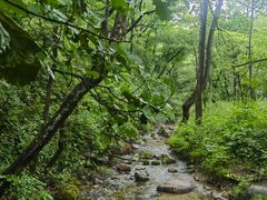 -玉渡山自然风景区