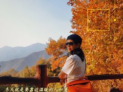 -广州市石门国家森林公园
