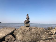 -上海滨江森林公园