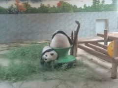 -西安秦岭野生动物园