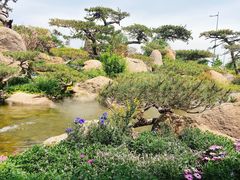 -罗红摄影艺术馆