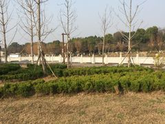 -八大山人梅湖景区