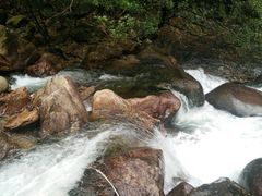 -祁门牯牛降观音堂风景区