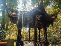-都江堰普照寺