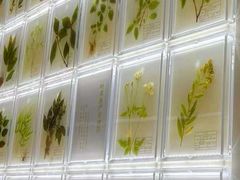 -广州神农草堂中医药博物馆