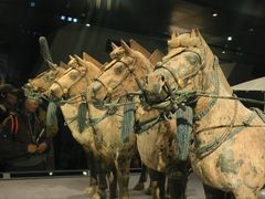 -秦始皇帝陵博物院-丽山园