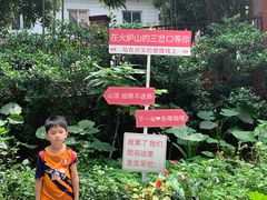 -火炉山森林公园