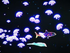 -暹罗海洋世界