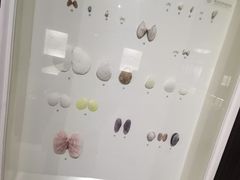 -青岛贝壳博物馆