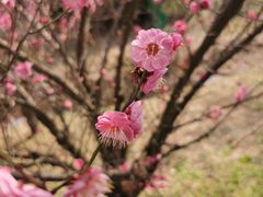 -广富林郊野公园