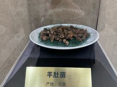 -一品滇香·云南菜(公益西桥店)