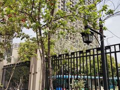 -南京市芳草园小学(凤凰校区)