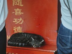 -龙华素斋(龙华路店)