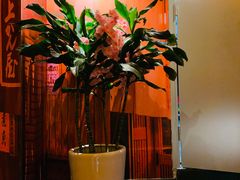 -有喜屋·烧鸟·居酒屋(三钢里店)