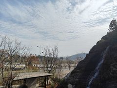 -雅苑中餐厅
