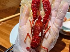 -红胖胖龙虾王·本地菜