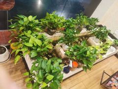 -摩音养生SPA(水湾店)