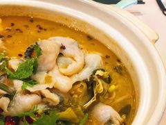 -蜀腾川·火锅鱼.烤鱼(新世界城店)
